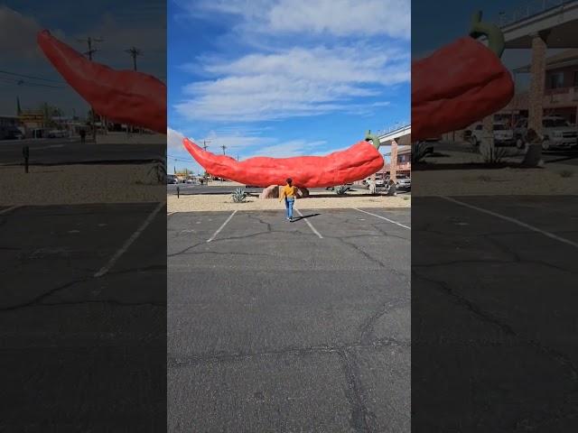 We found the biggest red chilli pepper  in New Mexico! #travel #adventure #newmexico #thingstosee