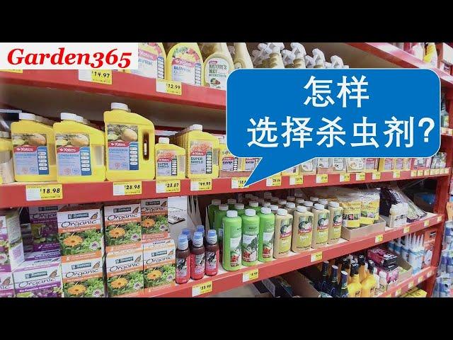 【肥料，杀虫剂】怎样选择肥料和杀虫剂？