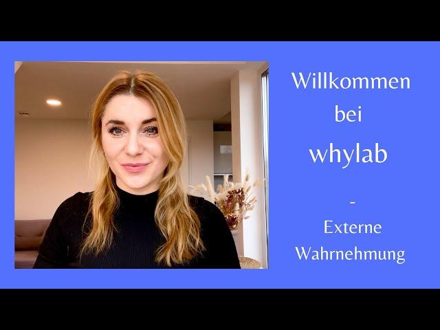 Externe Wahrnehmung - whylab