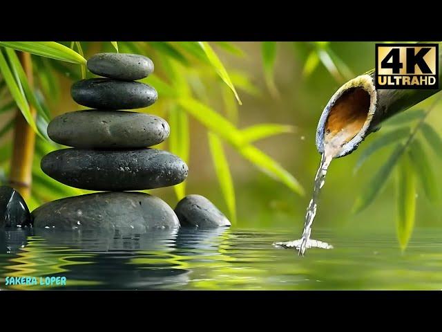 Relaxing Sleep Music, Stress Relieving Music, Insomnia Cure, Relaxing Music ~ SAKERA LOPER