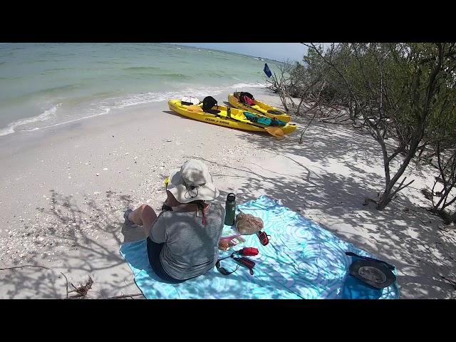 Kayaking - Shell Key Preserve