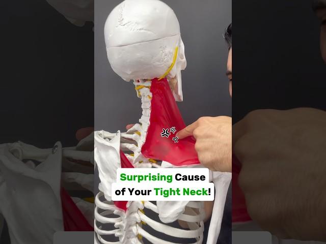One sided neck and shoulder pain? Try this! #neckpain #neckpainrelief