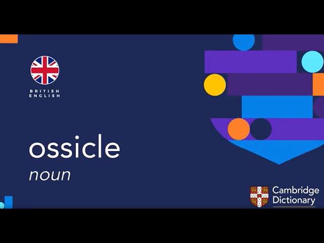 How to pronounce ossicle | British English and American English pronunciation