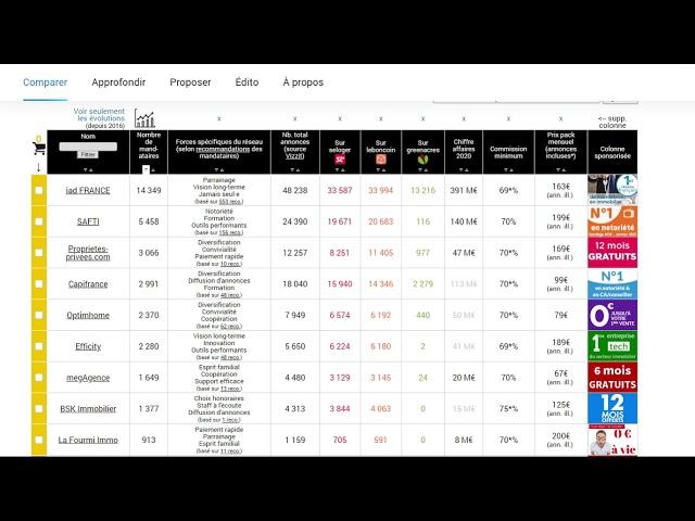 Quel réseau de mandataire immobilier choir ? Safti, Iad Capi France Optimhome Efficity Expertimo ?