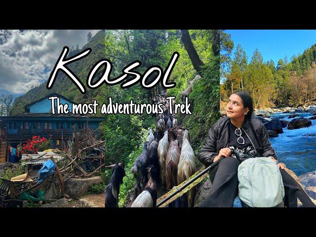 I went on a solo Trip to Kasol | Kheerganga Trek