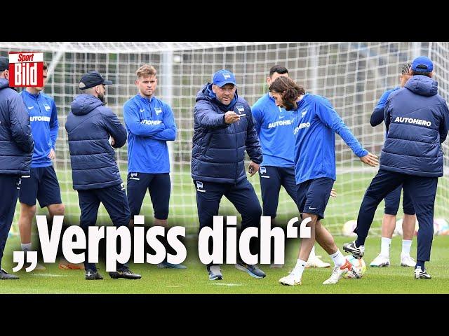 Hertha BSC: Trainer Pal Dardai schmeißt Ivan Sunjic raus