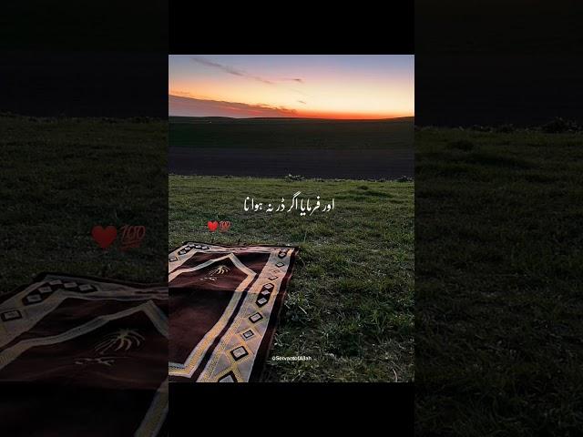️Islamicvideos#shortvideo#trending #servantofallah