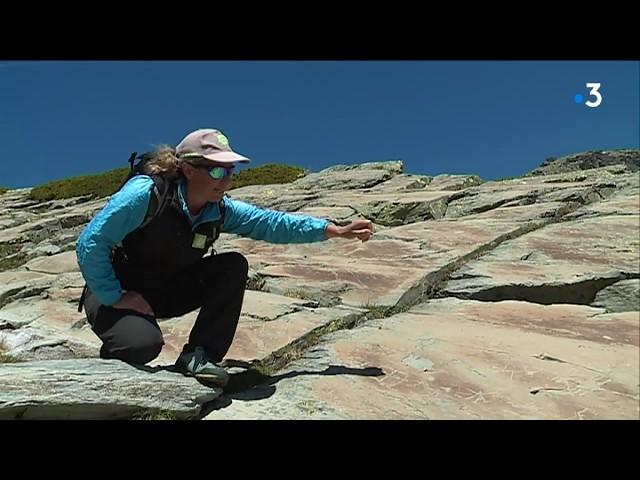 Parc du Mercantour : découvrez les peintures rupestres