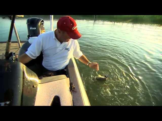 Fisherman's Handbook 2013- Falcon Lake- A Look Back and Look Forward