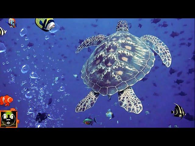 Underwater Sounds with Nature Oceanscapes & Underwater Animals | 8 Hours Deep Sea Sound (Part 1)