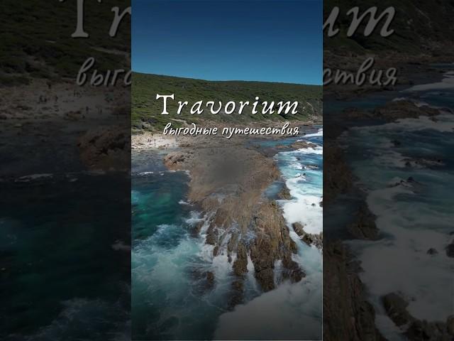 Travorium Сколько можно заработать