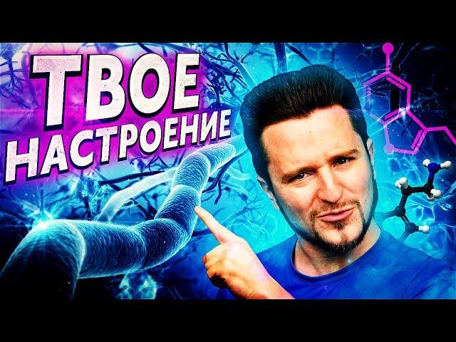 ТВОЕ Настроение Зависит От ЭТИХ 4 Вещей! (Это Надо Знать)