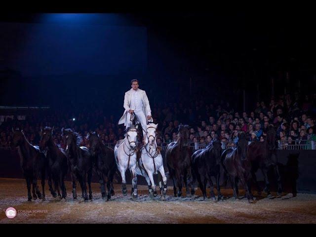 LORENZO INTERNATIONAL HORSE SHOW HD