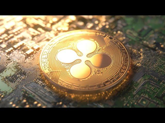 XRP RIPPLE *URGENT WARNING* NEVER EVER SELL YOUR XRP EXIT STRATEGY EXPLAINED !!!!