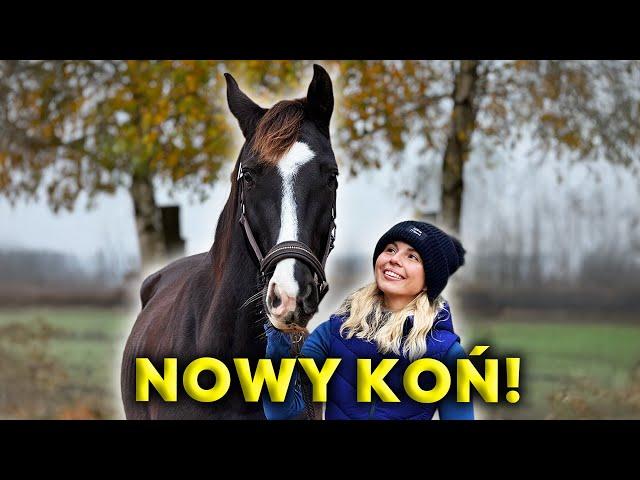 NOWY KOŃ!  | Poznajcie...