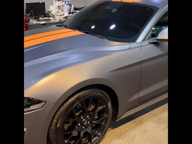 Ford Mustang 3M 1080 M261消光深灰 全車改色貼膜 車身拉線 matte dark gray changing wrap on a ford mustang