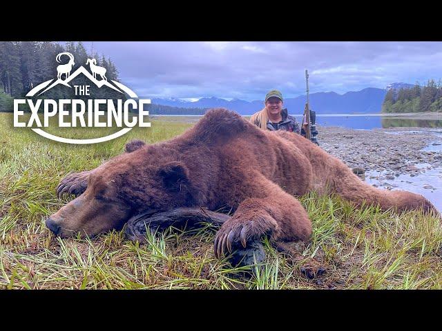 Brown Bear EXPERIENCE off the coast of Southeast Alaska!