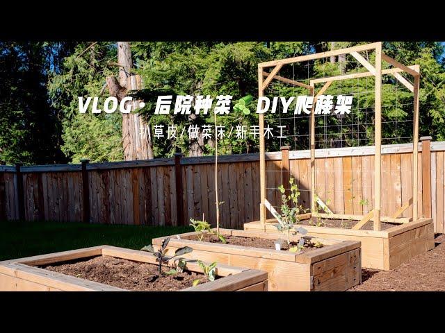 Garden Vlog｜后院小菜园｜DIY豌豆黄瓜爬藤架｜做新菜床｜新手木工｜后院种菜｜How to Make Trellis｜一圆又一圆