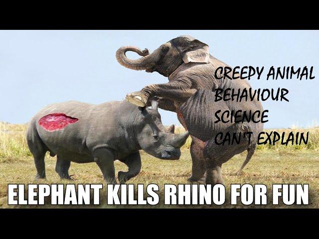 7 CREEPY ANIMAL BEHAVIOUR THAT SCIENCE CANNOT EXPLAIN