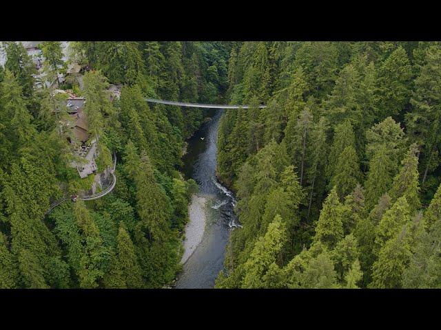 Experience Capilano Suspension Bridge Park