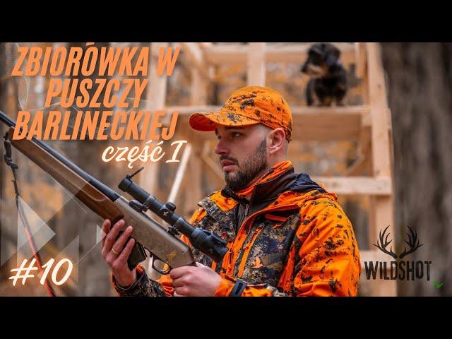 #10 Polowanie zbiorowe w Puszczy Barlineckiej cz.I/Drivenhunt for Wildboar in Poland