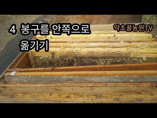 가을 양봉 6  월동 포장하기 전 마지막 준비 작업, 덧집을 제거 하고, 착봉이 약한 소비는 빼 내고, 소문쪽에 형성된 봉구를 속으로 옮기기