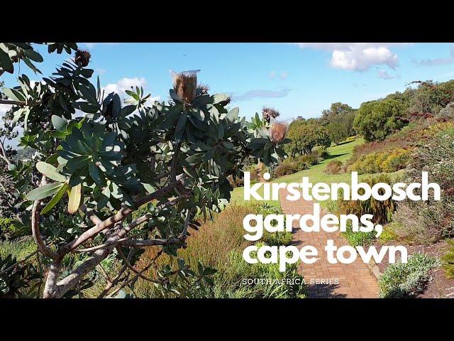 One of the worlds most beautiful gardens - Kirstenbosch Gardens, Cape Town