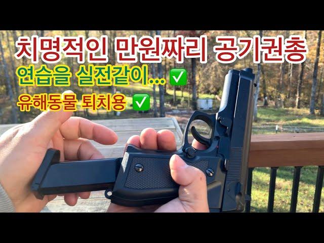 치명적인 만원짜리 공기권총 - Daisy 340 스프링 피스톨 #연습용과 Pest Control용으로 최적의 Air Pistol