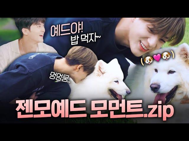 [ENG SUB] NCT DREAM JENO = Samoyed 