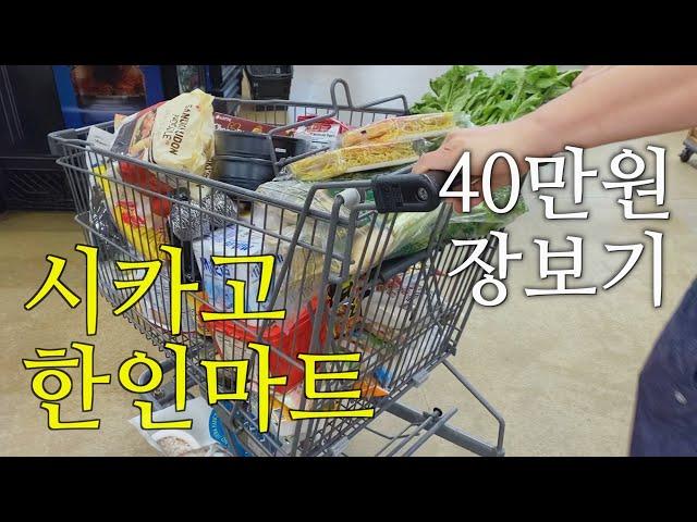 vlog  미국 한인마트 털기 / 미국물가 /40만원으로 장보기 / 시카고 h마트 / 중부시장