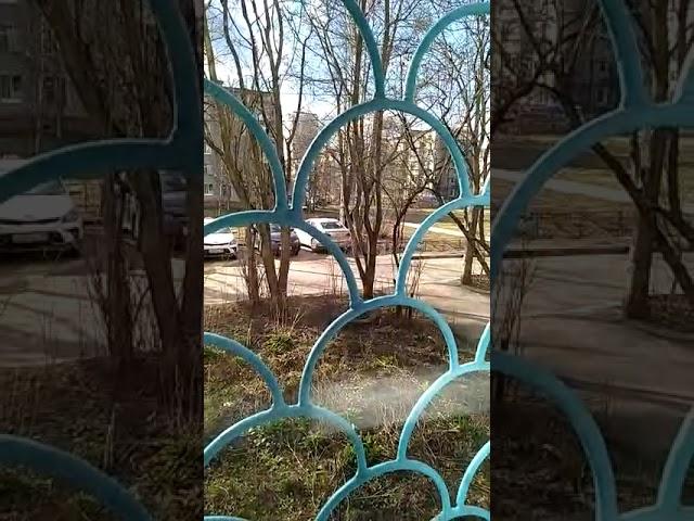 Лобня Вирус