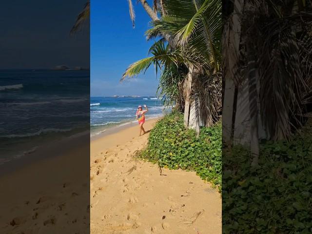 Жизнь на Шри-Ланке. #shorts #shortvideo #путешествия #спорт #srilanka #приколы #юмор #смех #funny