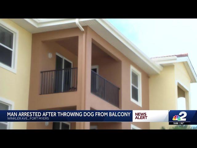 Fort Myers man accused of throwing Chihuahua off third-floor balcony 'like a football'