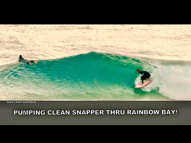 A Pumping Snapper Rocks Thru Rainbow Bay Session!