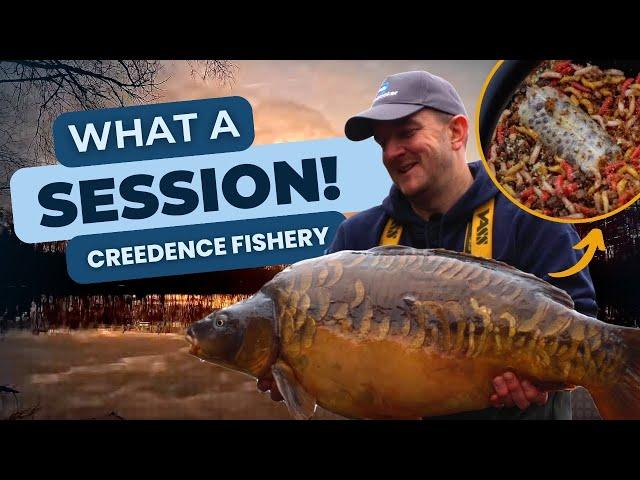 Creedence Fishery Carp Fishing | AJ's Adventures 2023 Grand Finale 