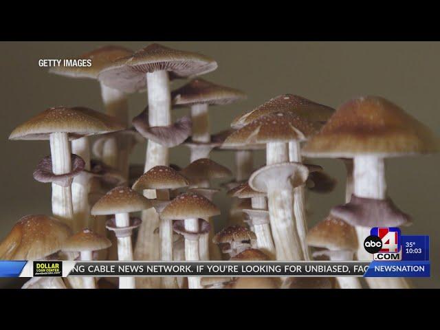 1 dead after mushroom poisoning in Utah, ‘first case ever in the state’