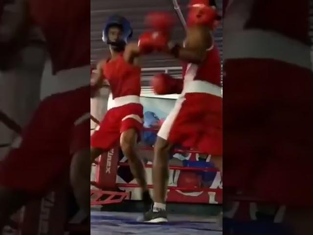 Alternatell#boxerbindas#boxing#champion#sports#mm2#viralvideo#video#viralshorts#vlog#trend#trending