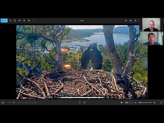 Jackie and Shadow Eagle nest cam fledging watch update and Wisconsin  Bald Eagle Nest Watch update.