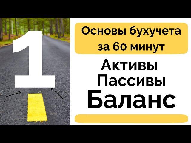 Активы Пассивы Баланс Основы и принципы бухгалтерии Бухучет с нуля Бухгалтерия для начинающих