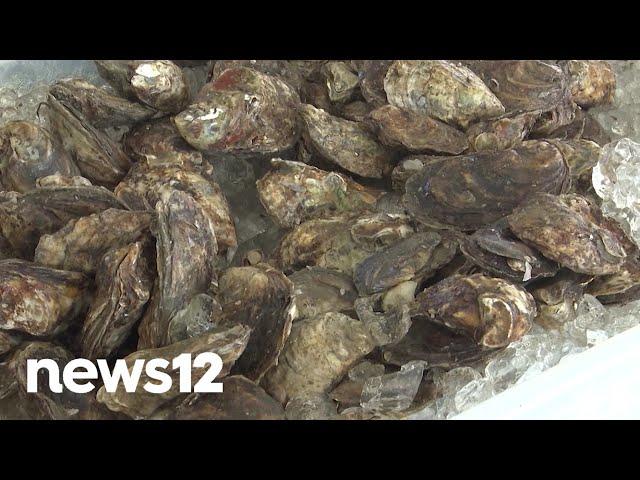 Connecticut launches Oyster Trail map to highlight state's culinary treasure | News 12