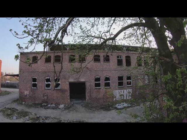 Dog, Girls and a Tree - Cinwehoop FPV :)