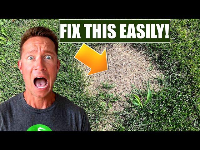 How to EASILY FIX BROWN PATCHES in your LAWN