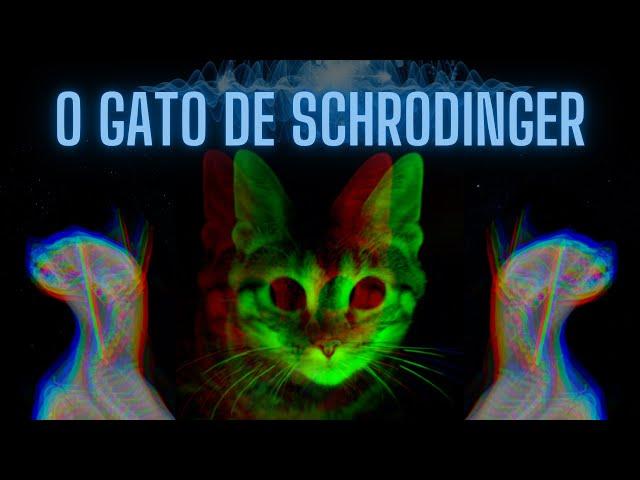 O GATO DE SCHRÖDINGER | Experimento da física quântica [QUARTA-NERD #2]