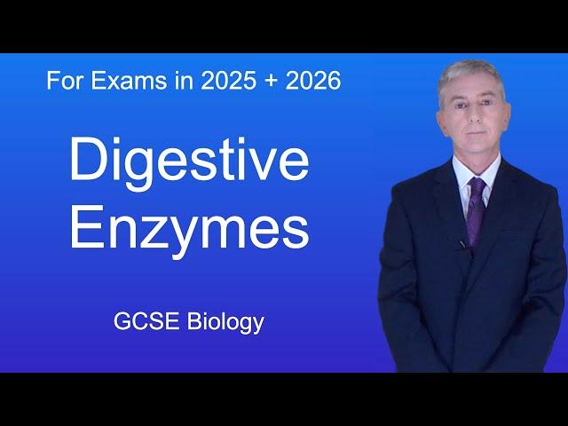 GCSE Biology Revision "Digestive Enzymes"