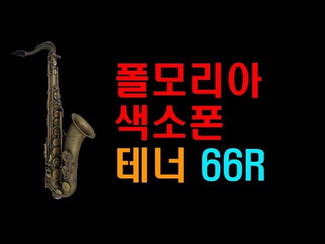 폴모리아 색소폰 테너 66R