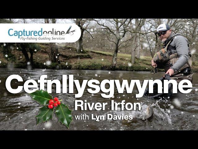 Grayling fishing, River Irfon – Mid-Wales