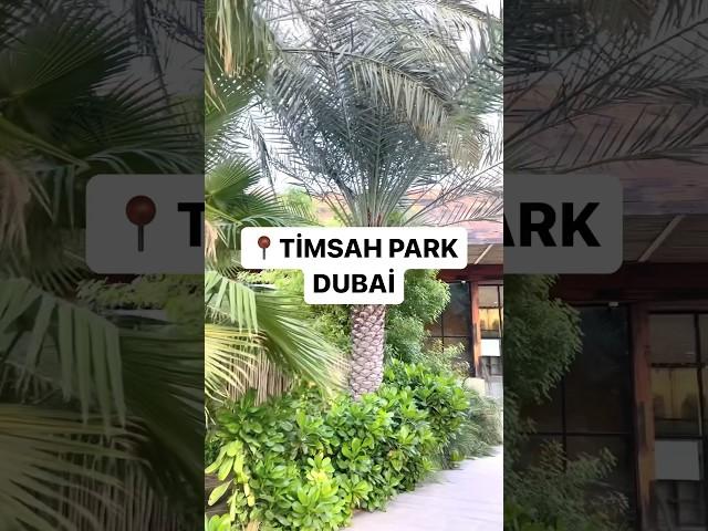 The $100,000,000 Timsah Park in Dubai