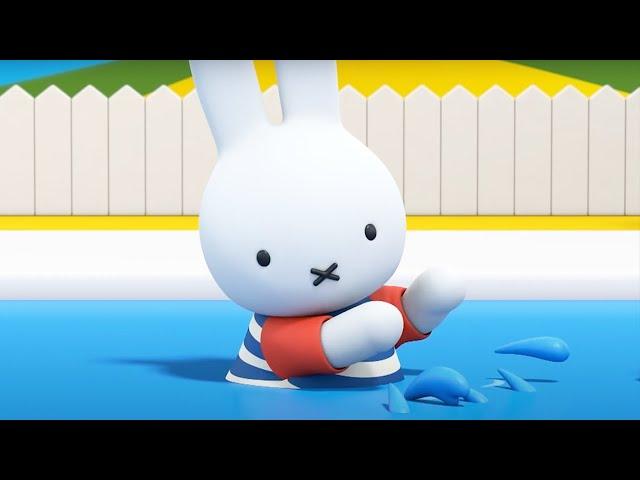 Miffy Goes Swimming  | Miffy | Miffy's Adventures Big & Small