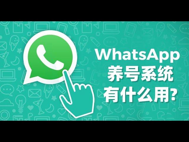 WhatsApp养号系统有什么用?#WhatsApp养号#WhatsApp养号攻略