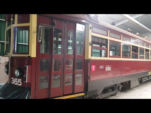 MTT H-Type No. 365 - 1929 #tram